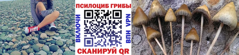 Галлюциногенные грибы Cubensis  цена наркотик  Грозный 